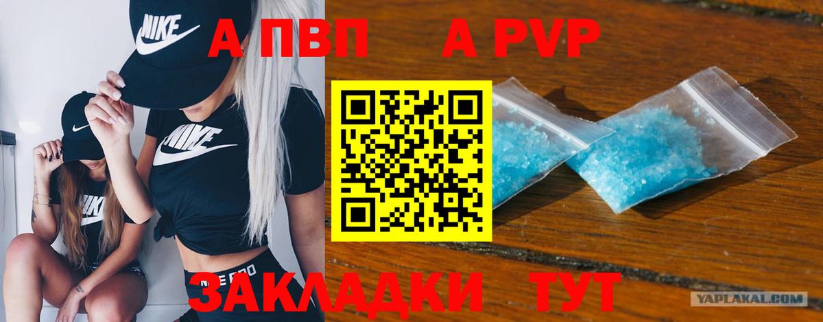 Alfa_PVP СК Ейск