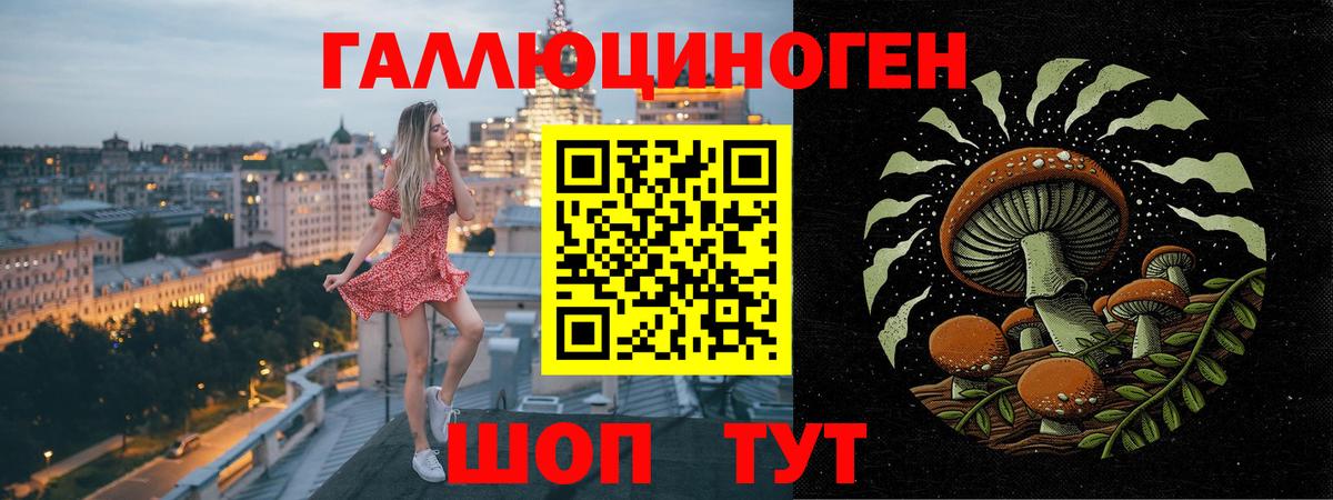 Псилоцибиновые грибы мицелий  Вход с VPN  Ейск 